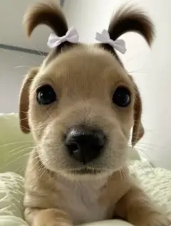 写メ日記の画像