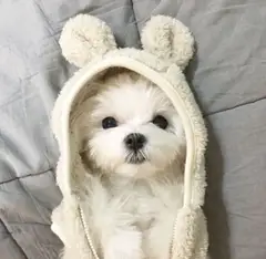 ♡そら♡の写メ日記「お久しぶりです♡」