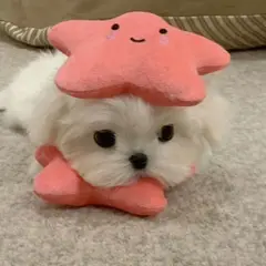 ♡そら♡の写メ日記「金曜日♡」